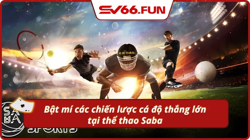 Mẹo cá cược thể thao săn sạch tiền cược 
