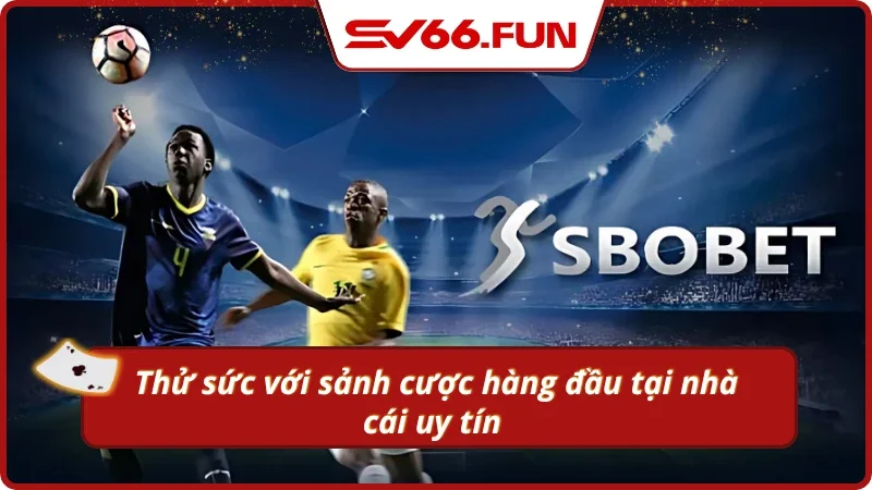 Gợi ý cách truy cập theo dõi và đặt cược vào sảnh SBOBET 
